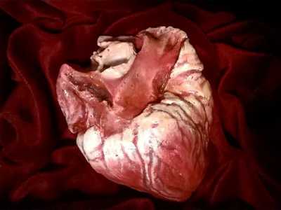 La scultura �Love� del 2016: � un cuore integro e sano, una celebrazione dell�amore